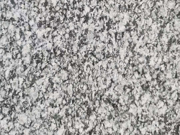 1677378657276060.jpg