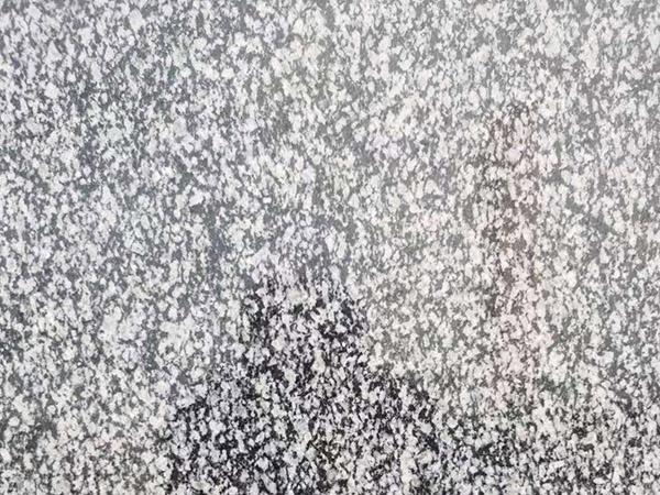 1739067554156136.jpg